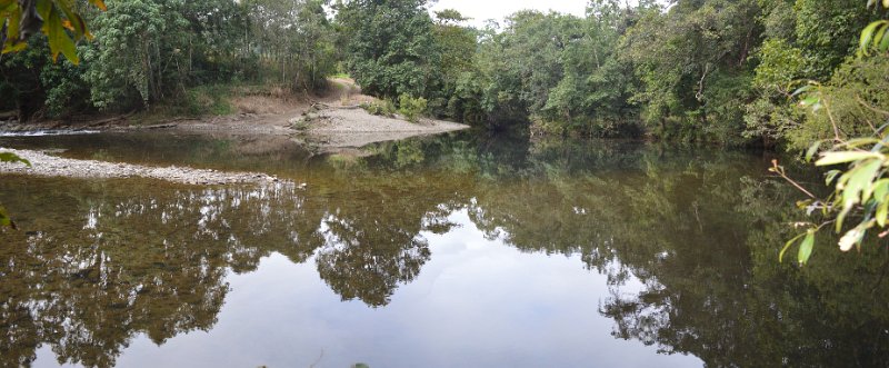 02DaintreePanorama15.JPG - Daintree Coast - On the Bloomfield Track