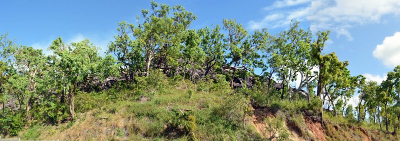 03CooktownPan03.JPG - Near Cooktown, Black Mountain NP