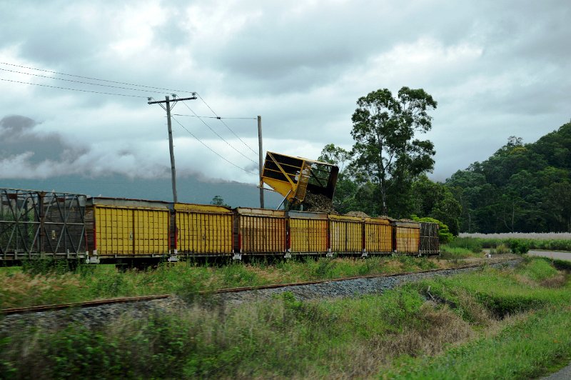 DSC_0064.JPG - Approaching Mossman and sugar harvest has just started