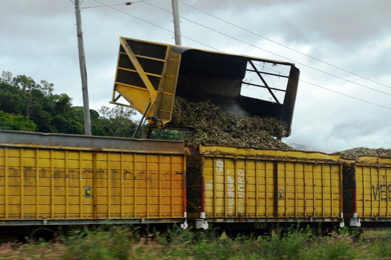 DSC_0065.JPG - Approaching Mossman and sugar harvest has just started
