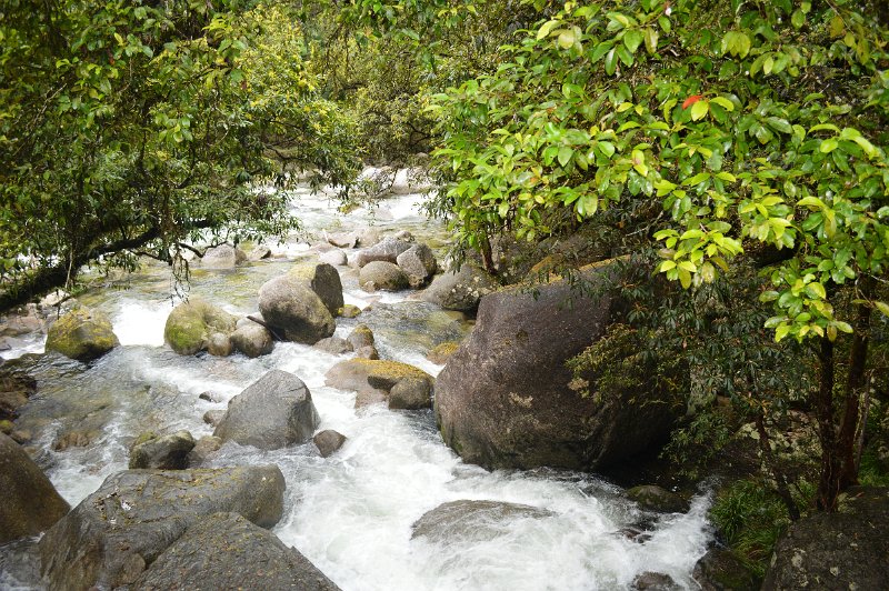 DSC_0067.JPG - Mossman Gorge - Rex Creek suspension bridge