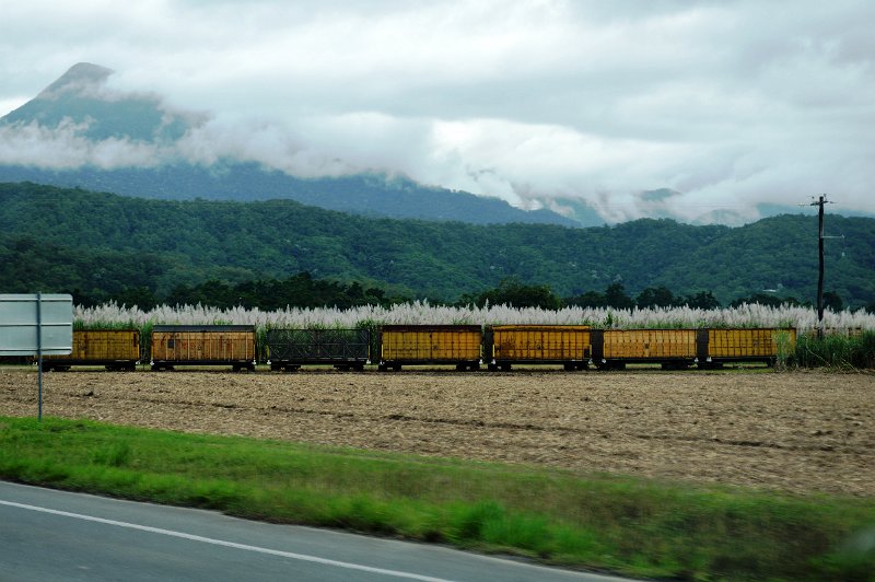 DSC_0068.JPG - Approaching Mossman and sugar harvest has just started