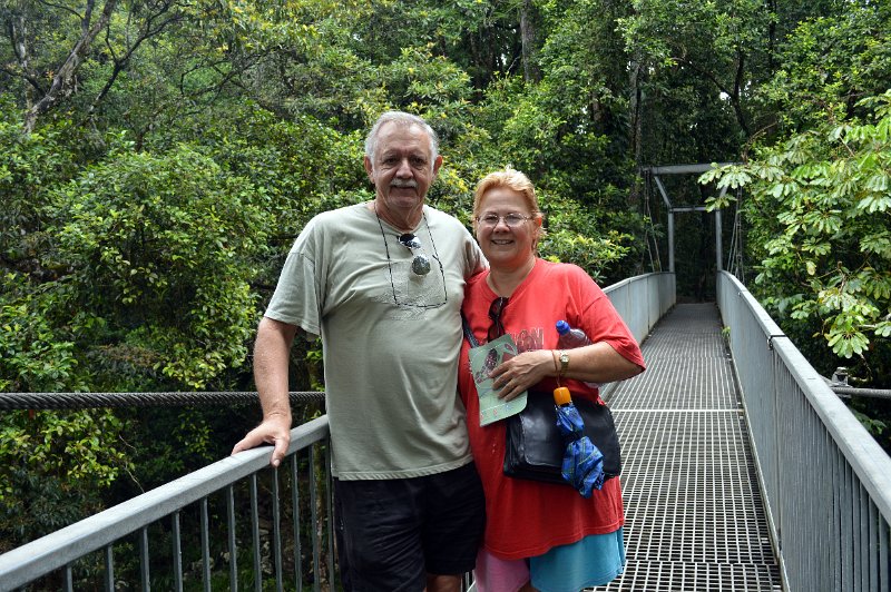 DSC_0072.JPG - Mossman Gorge - Rex Creek suspension bridge