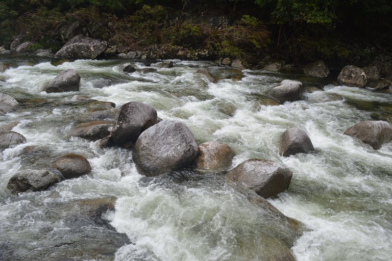 DSC_0079.JPG - Mossman River in the Gorge