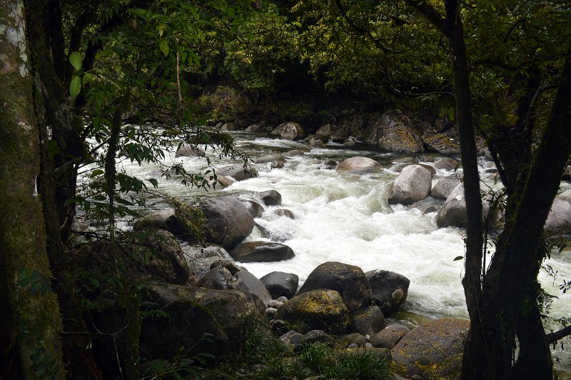 DSC_0088.JPG - Mossman River in the Gorge