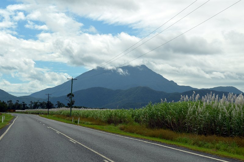 DSC_0104.JPG - After Mossman Gorge, to the Daintree Coast