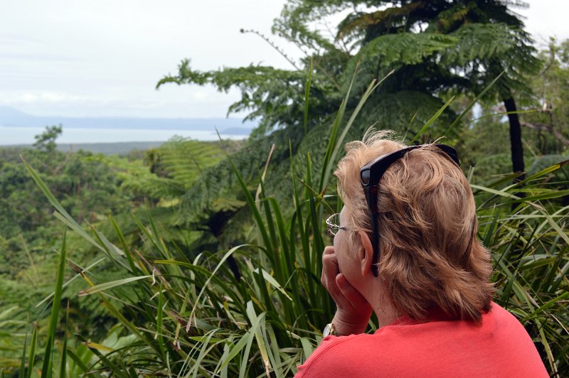 DSC_0121.JPG - Daintree Coast - Alexandra Range lookout