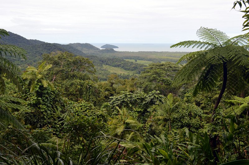 DSC_0125.JPG - Daintree Coast - Alexandra Range lookout