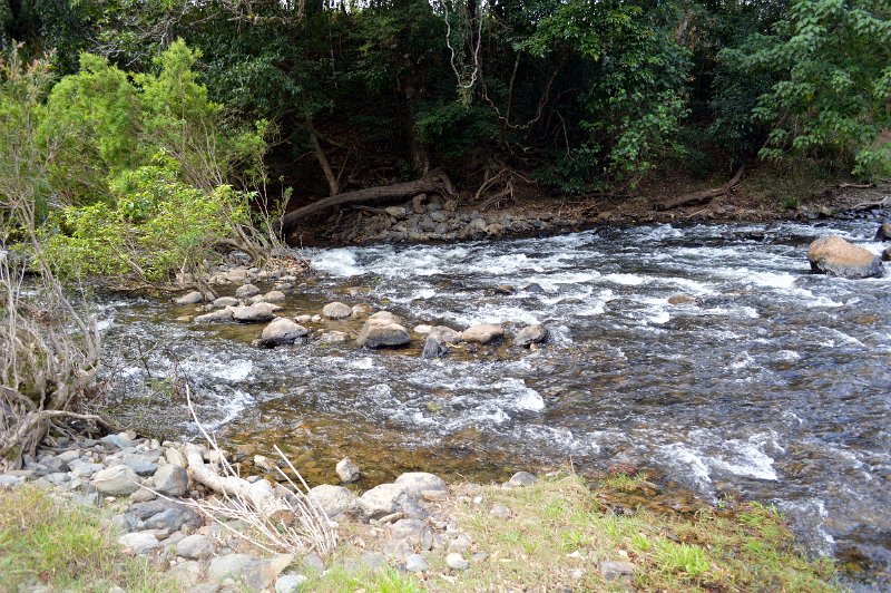 DSC_0209.JPG - Daintree Coast - On the Bloomfield Track