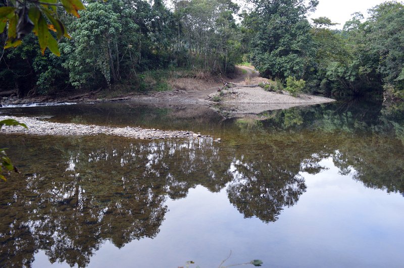 DSC_0211.JPG - Daintree Coast - On the Bloomfield Track