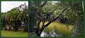 01Mossman3
