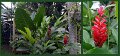 01Mossman4