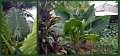 01Mossman5