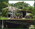 02Daintree
