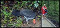 02Daintree10