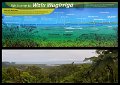 02Daintree17