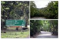 02Daintree19