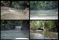 02Daintree22