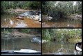 02Daintree23