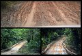 02Daintree25