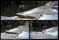 02Daintree27