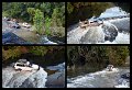 02Daintree28