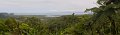 02DaintreePanorama11