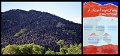 03Cooktown1