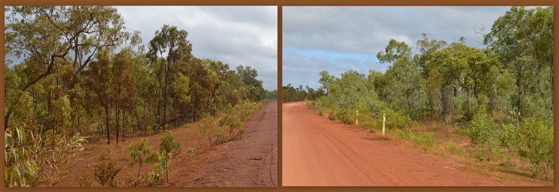 05ToBamaga.jpg - PDR - Bramwell Junction is the starting point for the Overland Telegraph Track