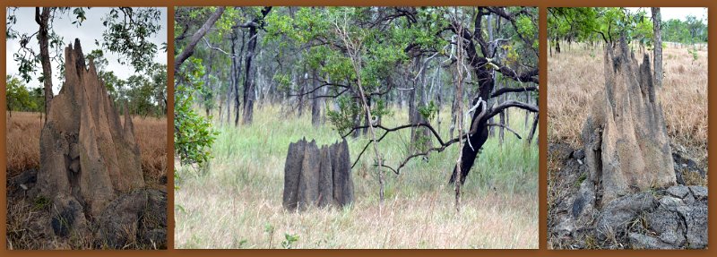 05ToBamaga2.jpg - PDR - Bramwell Junction to Moreton Station