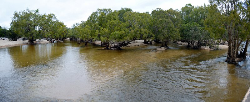 05ToBamagaPan03.JPG - PDR - Archer River north of Coen 