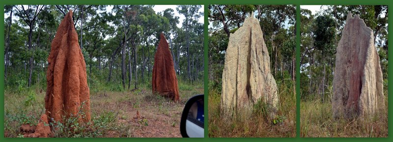 07TheTip1.jpg - Track from Bamaga to "The Tip"