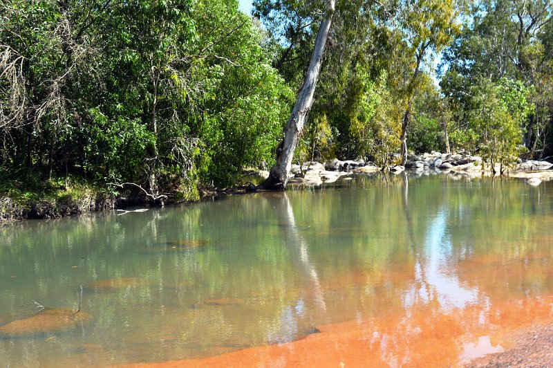 DSC_0052.JPG - Peninsula Development Road (PDR) - near Musgrave Station