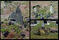 06CapeYork16