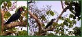 06CapeYork32