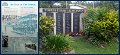 06CapeYork4