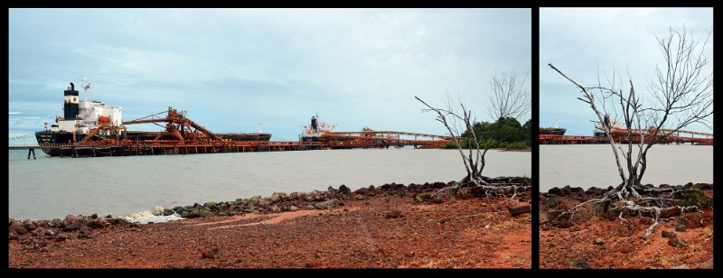 08Wiepa6.jpg - Weipa - Bauxite loading and a tree completely undermined by water flow