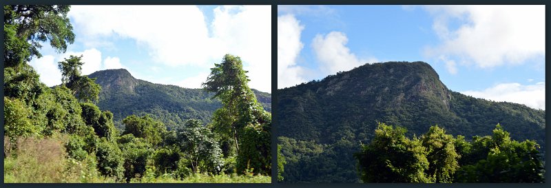 13Kuranda5.jpg - Kuranda Scenic Rail trip - Red Bluff on the climb to the Tablelands
