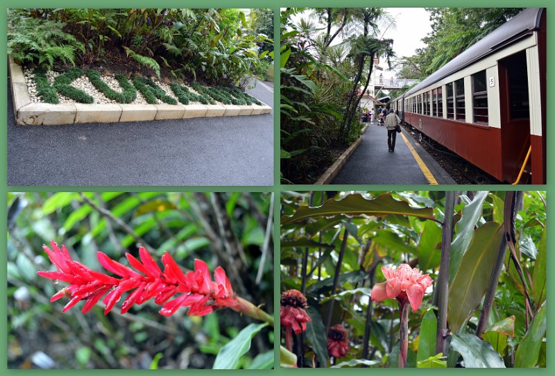 13Kuranda8.jpg - Kuranda Station