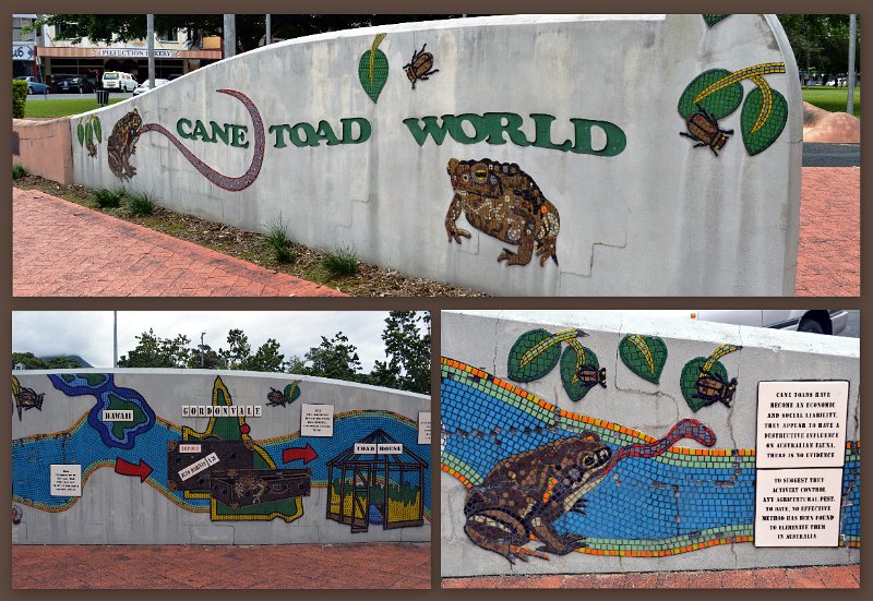 14CairnsToInnisfail15.jpg - Gordonvale - story of the distrous introduction of the cane toad from Hawaii in the 1930's