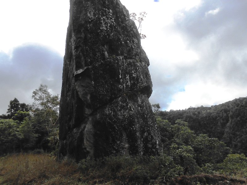 DSCN1818.JPG - Kuranda Scenic Rail trip - Robb's Monument on the climb to the Tablelands