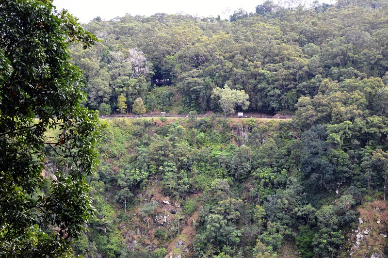 DSC_0220.JPG - Kuranda Village - our return journey via the Skyrail, across the gorge from Barron Station