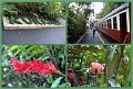 13Kuranda8