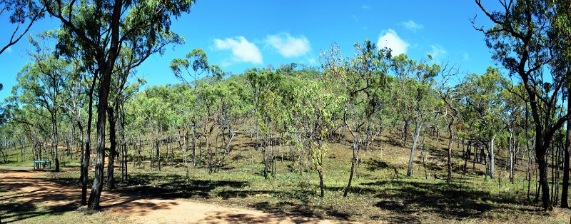 16UndaraPan09.JPG - Undara - Walking path up to the rim of the Kalkani Crater