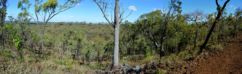 16UndaraPan12.JPG - Undara - Kalkani Crater rim walk. This image shows the crater depression at ground level