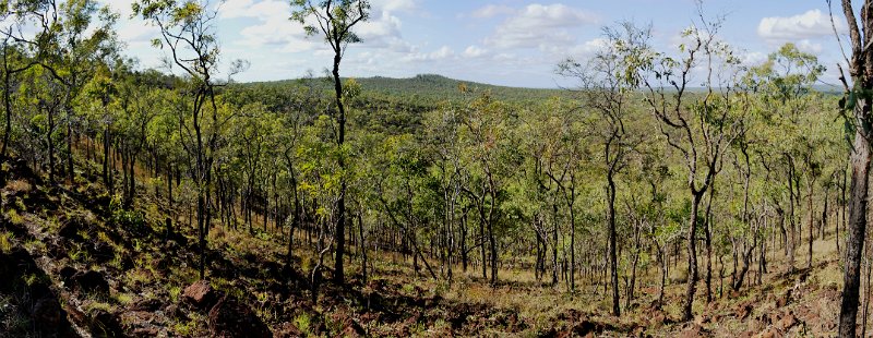 16UndaraPan14.JPG - Undara - Kalkani Crater rim walk