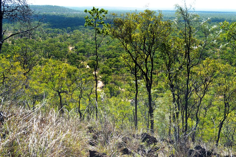 DSC_0087.JPG - Undara - Kalkani Crater rim walk