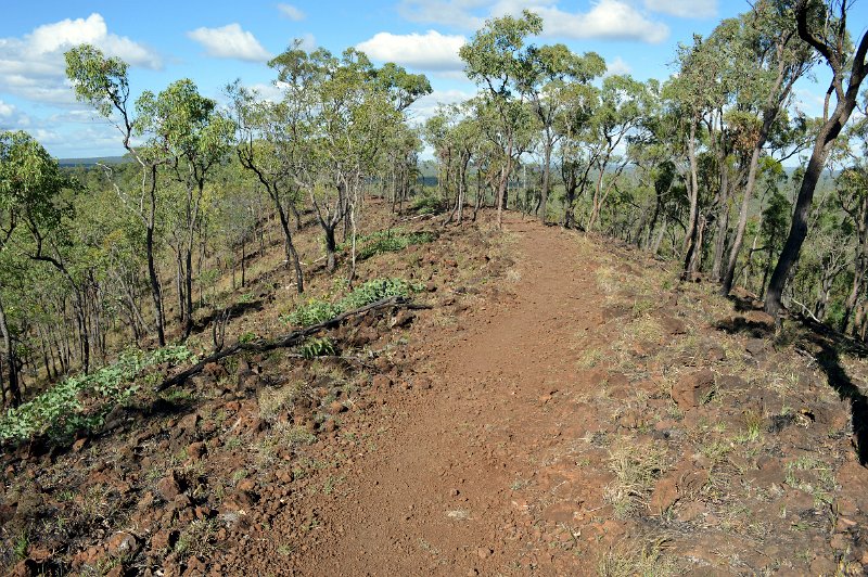 DSC_0116.JPG - Undara - Kalkani Crater rim walk