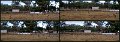 18Galahs