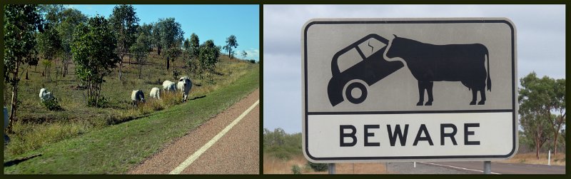 16Undara.jpg - Gregory Development Road (aka The Great Inland Way) approaching Charters Towers